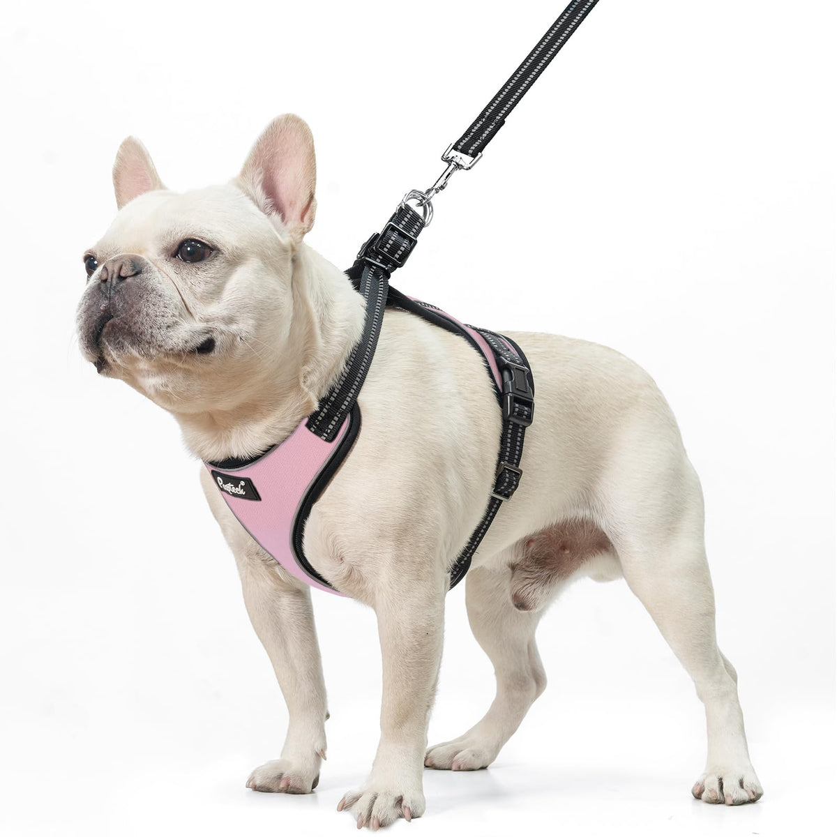 No-Pull Comfort Dog Harness Set Pink M