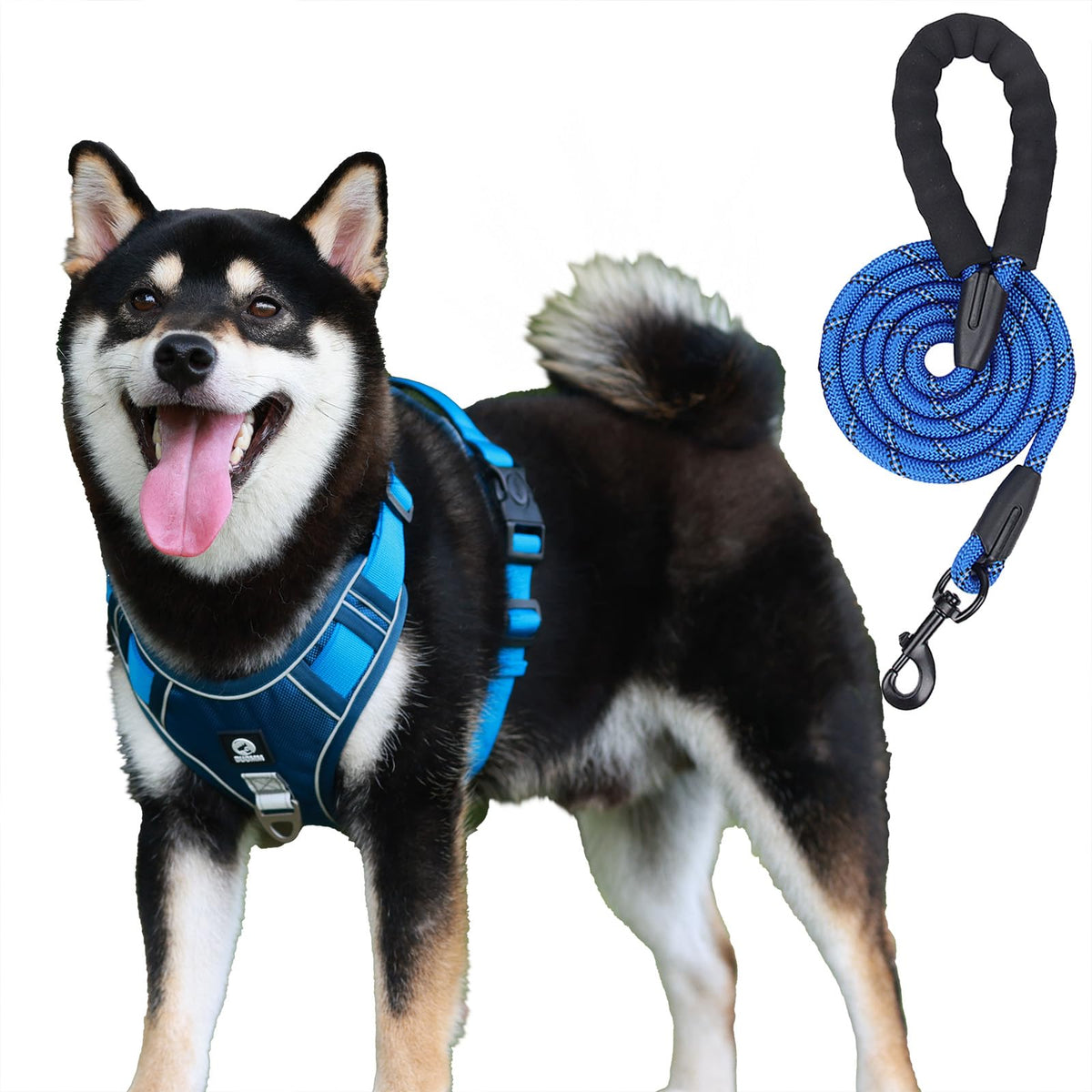 AKEISHE Comfort Control Dog Harness Set