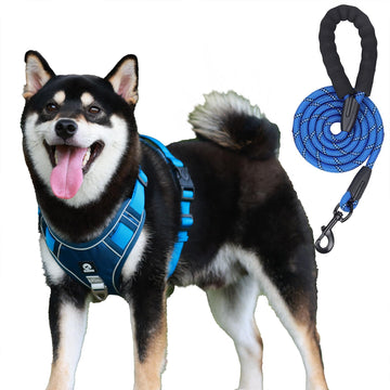 AKEISHE Comfort Control Dog Harness Set