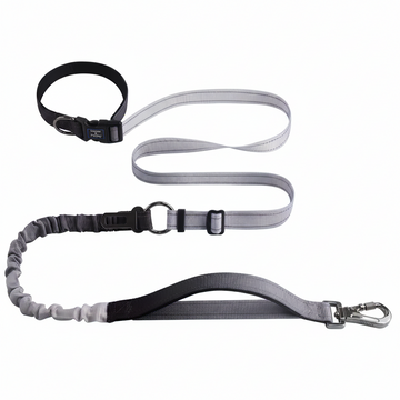 FlexiRun Hands-Free Dog Leash for Jogging & Training