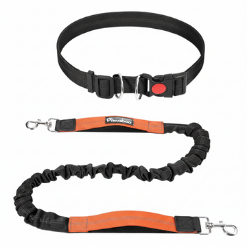 Reflective Freedom Leash by Pawaboo for Active Dog Owners